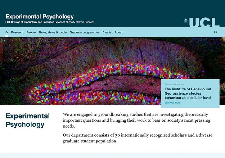 ucl experimental psychology phd